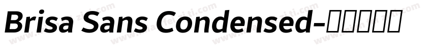 Brisa Sans Condensed字体转换